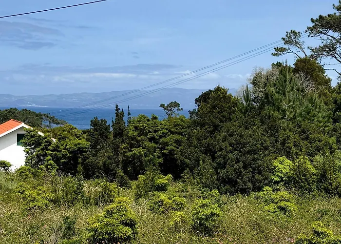 別荘 Casa Do Domingos Cais do Pico